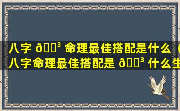 八字 🐳 命理最佳搭配是什么（八字命理最佳搭配是 🌳 什么生肖）